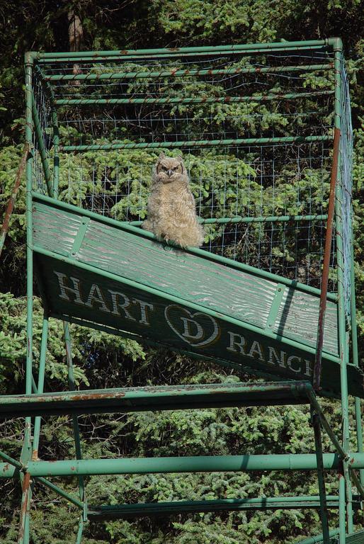 Slana Hart D Ranchヴィラ エクステリア 写真